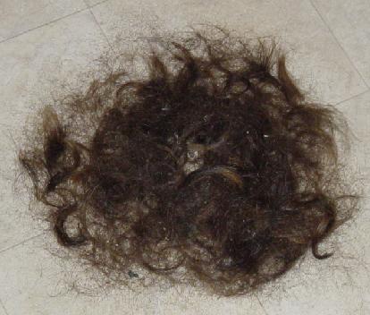 hair.jpg